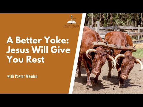 Are you weary? Jesus will give you rest. (Matthew 11:28-30)