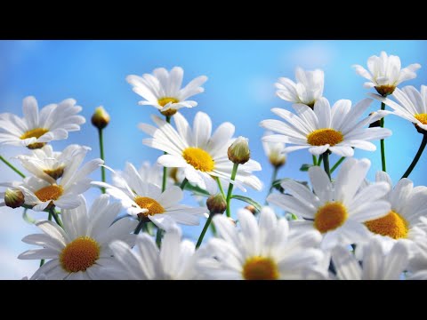 Coffee Break (5 Minutes with God) Proverbs 8:1-8