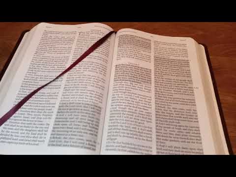 September 10, 2022 (Amos 9:8-10) by Messenger Sent