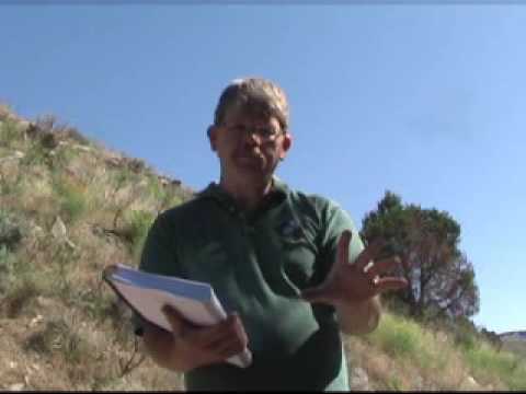 Pt 2 Kabbalistic Son of Man, Stone of Blood on John 1:51