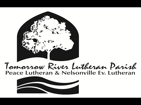 Responses and Conversation on John 11:54 -12:19