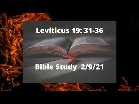 Leviticus 19:31-36