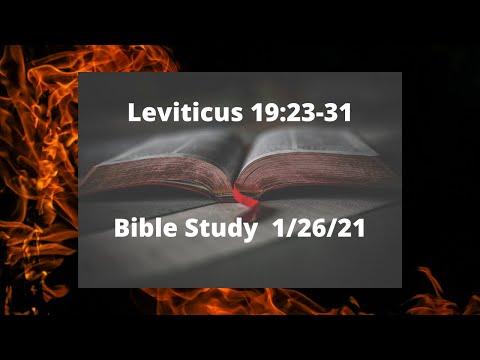 Leviticus 19:23-31