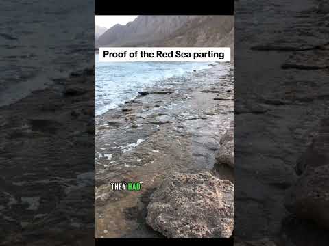 The pillar of fire (Exodus 14:19-24) - #ChristianCoffeeTime