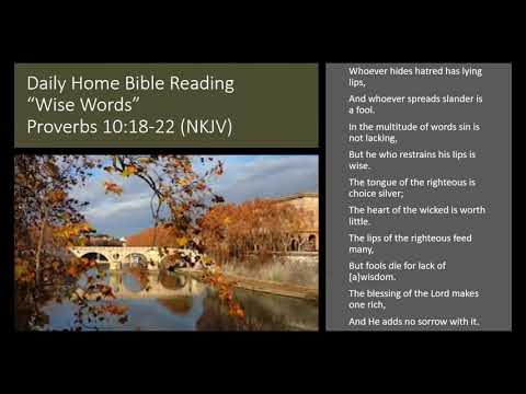 "Wise Words" Daily Home Bible Reading - Proverbs 10:18-22