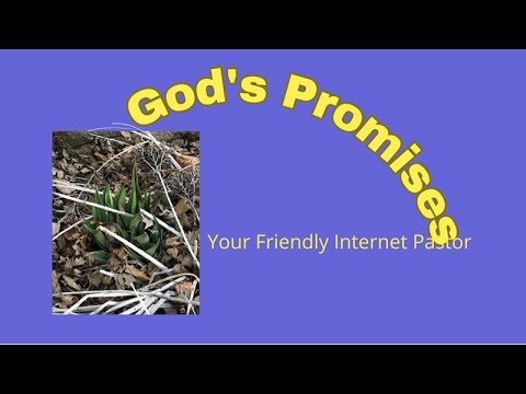 God’s Promises