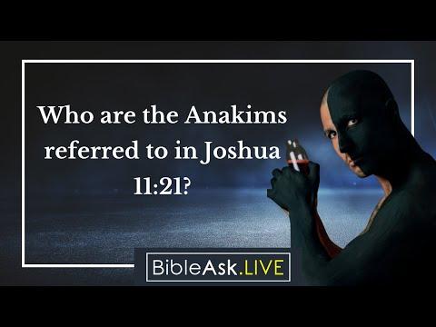 Who are the Anakims refferred to in Joshua 11:21?