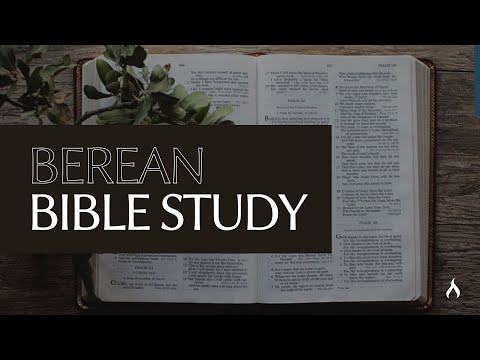 Berean Bible Study - Ecclesiastes 7:19-29 & 8