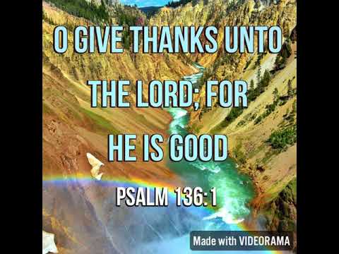 KJV Bible Songs: Give thanks unto the LORD (Psalm 136:1,23-24)