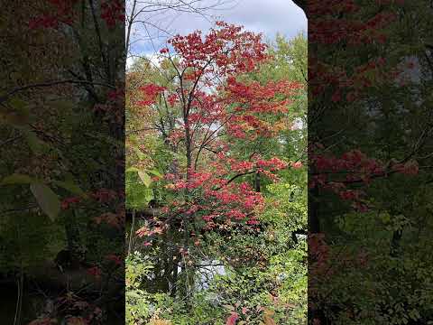 396.  Coffee Break (express) We can’t improve perfection.