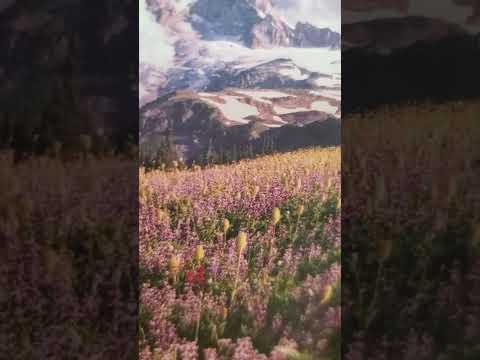 Israel's family is listed genesis 46:8-27