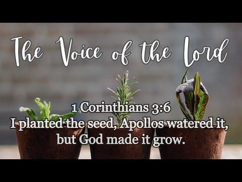 1 Corinthians 3 :6 The Voice of the Lord  November 30, 2021 by Pastor Teck Uy