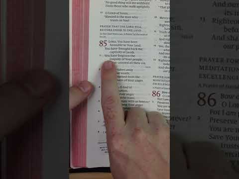 Psalms 85:2 • Bible Verse of the Day