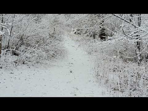 Coffee Break (5 minutes with God) James 2:8-11