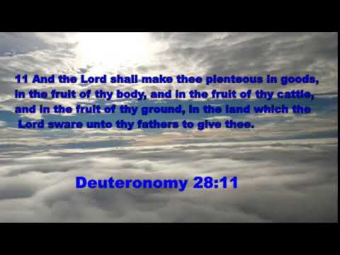 Deuteronomy 28:11