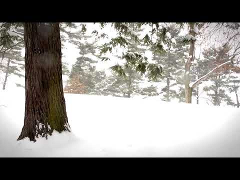 FLBC Daily Devotion: Proverbs 14:32, "The Lord is Good."