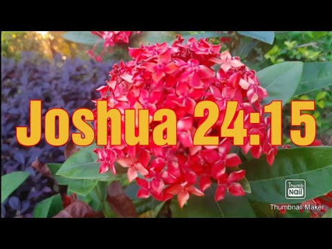 Joshua 24:15