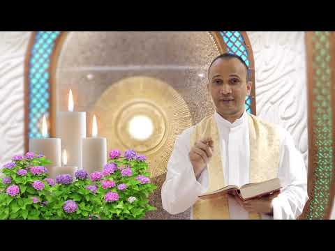 A short reflection on the Gospel of John 21:20-25 (Saturday, 7th Week of Easter 30th May 2020)