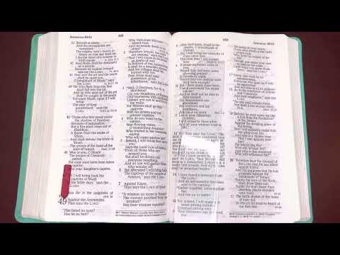 10/21/22, Psalm 91, Proverb 21,  1 Timothy 3:1-15, Jeremiah 49:1-50:46 Old & New Testament Readings