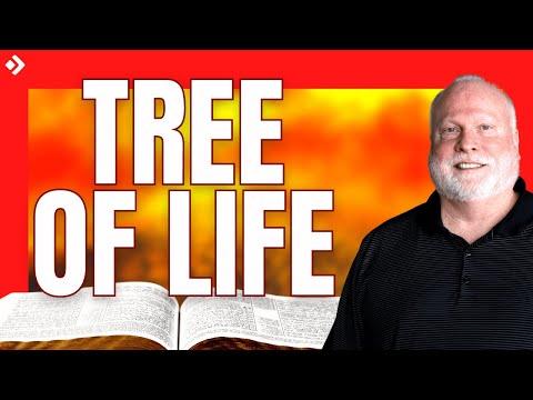 Book of Revelation Explained 65: The Tree of Life (Revelation 21:23-22:5)