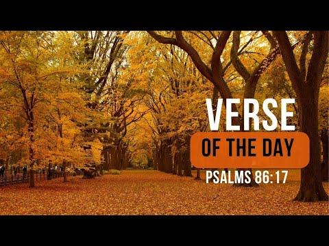 Verse of the Day: Psalms 86:17- God  Favor me Over my Enemies