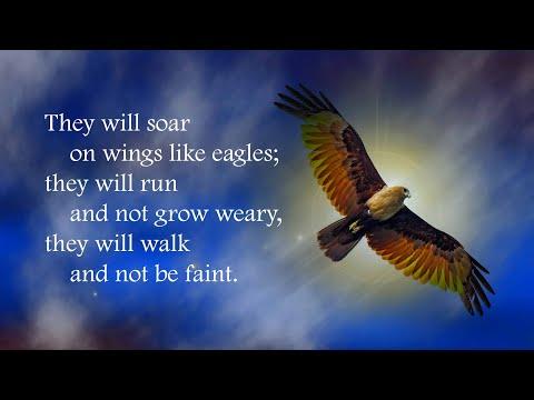 Soar on wings like eagles (Isaiah 40:28-31)