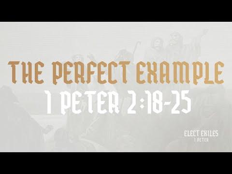 The Perfect Example (1 Peter 2: 18-25)