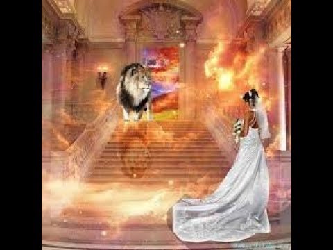 estate Administration @ 202.826.7011 JEREMIAH 31:22, A WOMEN SHALL COMPASS A MAN 3 Amunra Estates