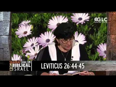 Sondra Oster Baras on GLC – Behukotai (My Statutes) Leviticus 26:3 - 27:34