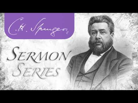 The Top of the Ladder (Ephesians 3:19) - C.H. Spurgeon Sermon