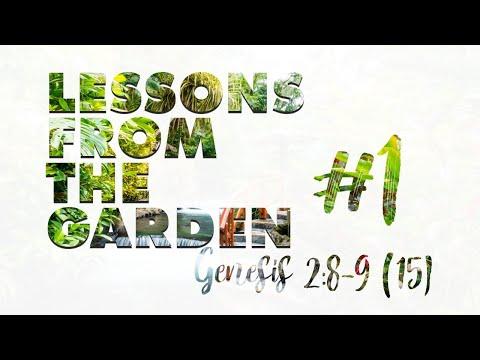 Tend The Garden Genesis 2:8-9 (15)