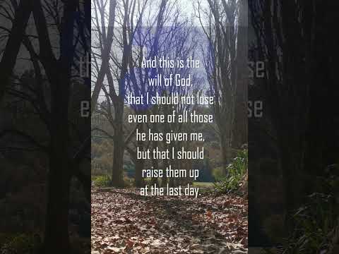 A reading of John 6:37-39 from the New Living Translation