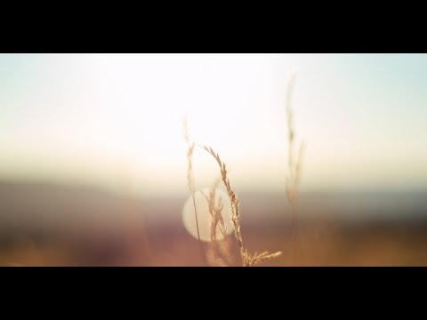 Bible Verse Song - 1 John 1:7 - But if we walk in the light