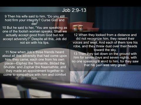 Job 2:9-13 Bible Study - Week 5