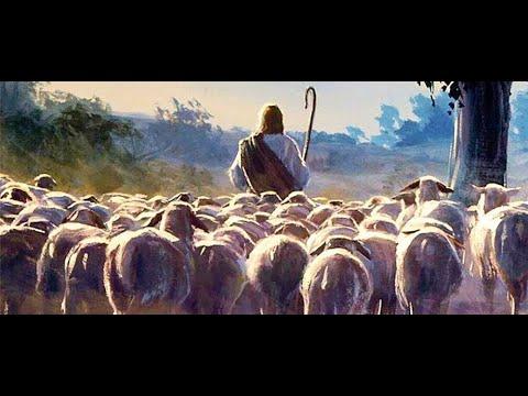 Shepherd & His Sheep - John 10:1-21