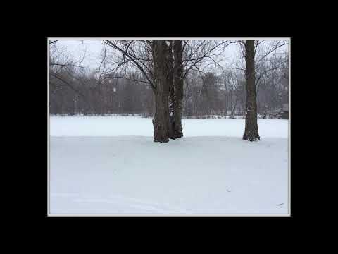 Coffee Break (5 Minutes with God) Psalm 48:6-9