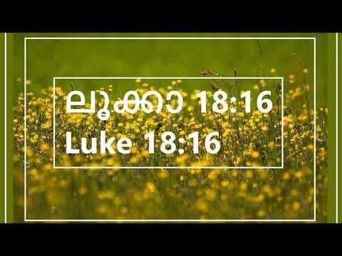 ദൈവ വചനം 7 |ലൂക്കാ 18:16 |Word of God part 7 | Luke 18:16 |CMN