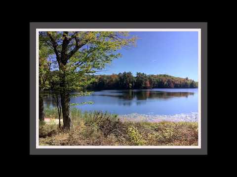 Coffee Break (5 Minutes with God) Psalm 34:21