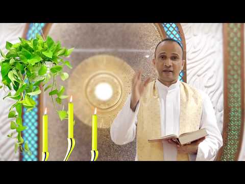 A short reflection on the Gospel of John 21:15-19 (Friday, 7th Week of Easter 29th May 2020)