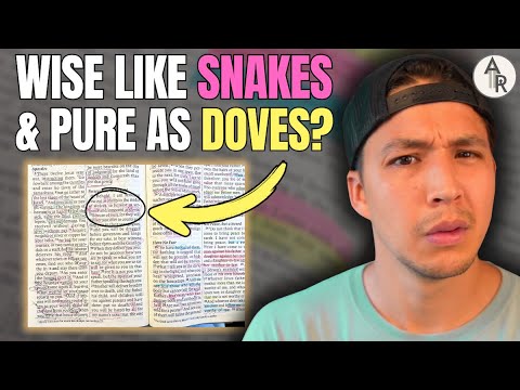 Why Jesus Compares His Disciples To Serpents and Doves | Matthew 10:16-22