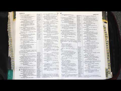 Holy Bible - Amos 5 : 1 - 27