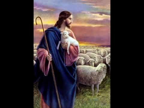 The Good Shepherd: 
Ezekiel 34:11-15
