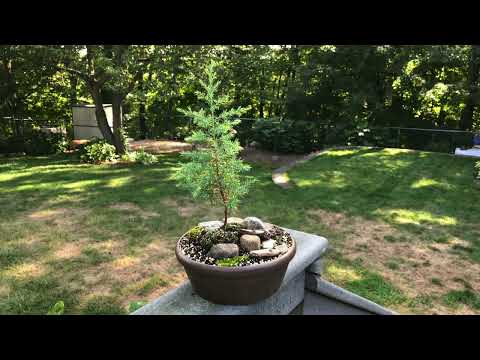 Take Heed... Mark 13:5-6