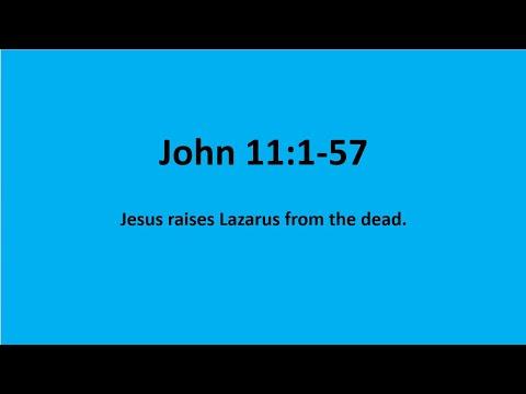 Bible Study: John 11:1-57