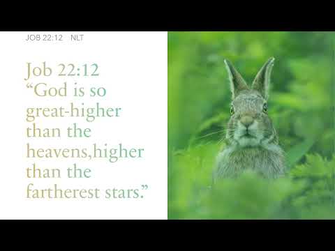 LORD,How Great Is Your Mercy Psalm 119:156