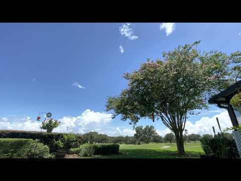 Day 192~ July 11~ 1 Chronicles 11:1-12:18, Acts 28:1-31, Psalm 9:1-12, Proverbs 19:1-3