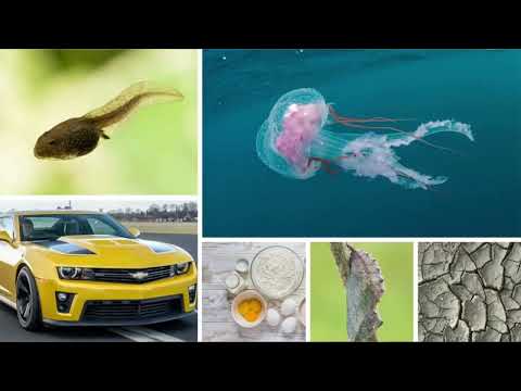 'A Glimpse of The Future' (1 Corinthians 15) - 17th July 2022