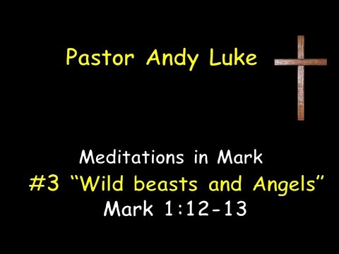 #3 -  Wild Beasts and Angels - Mark 1:12-13
