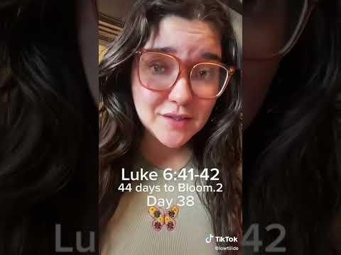 Lowtiiide Bible Study - Luke 6:41 - day 38