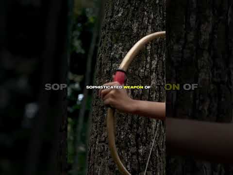 God put his bow in the sky. And it wasn’t pointed where you might think.